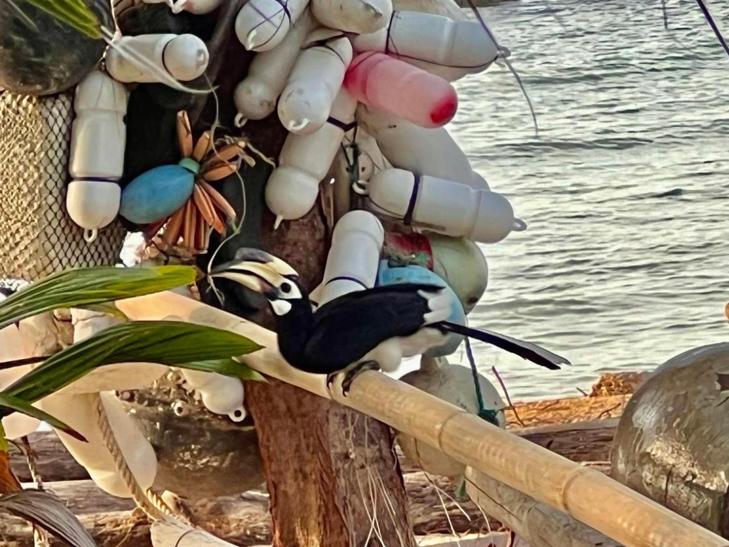 Koh Phaluai Beach Bangalow Ban Ko Nok Taphao Εξωτερικό φωτογραφία